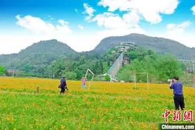 湖南东安发展假日经济振兴乡村  好风景变成“好钱景”图片