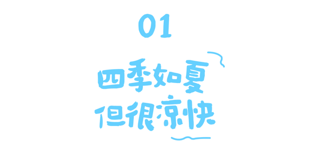这把,是养生局!