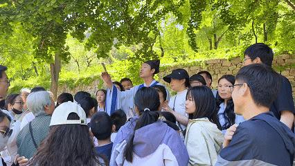 一座千年古刹的“诗意突围”：灵岩寺景区如何以诗词互动撬动文旅新生态