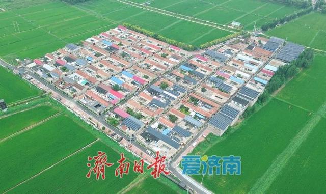 一年四季 泉在济南丨济西稻浪映秋色，席家庄田园画卷正浓