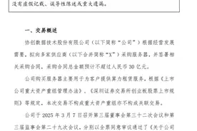 协创数据拟采购服务器布局算力租赁，总金额不超过30亿元图片