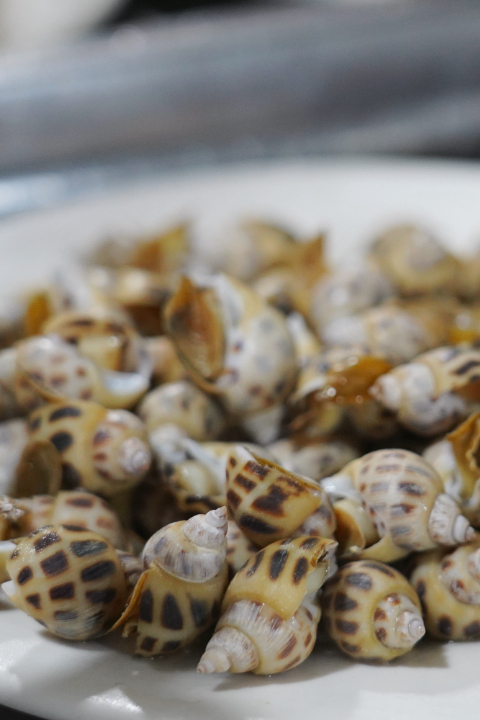 跟着赛事去旅行 | 尾金滩：追风逐浪，邂逅日落