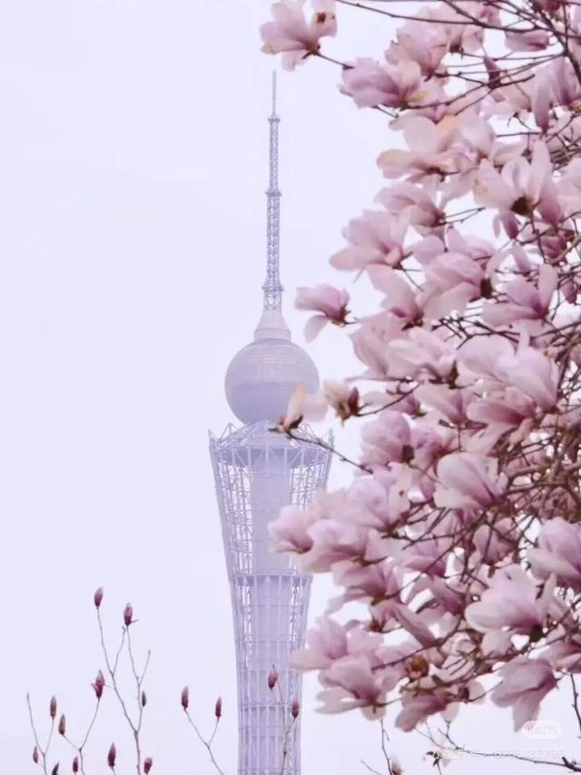 六安春季赏花地图发布！