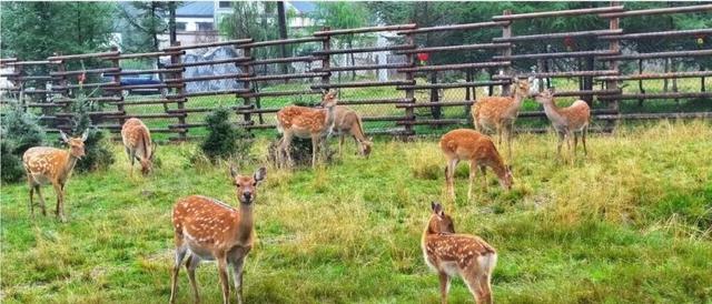 定西市渭源元谷堆景区游玩攻略