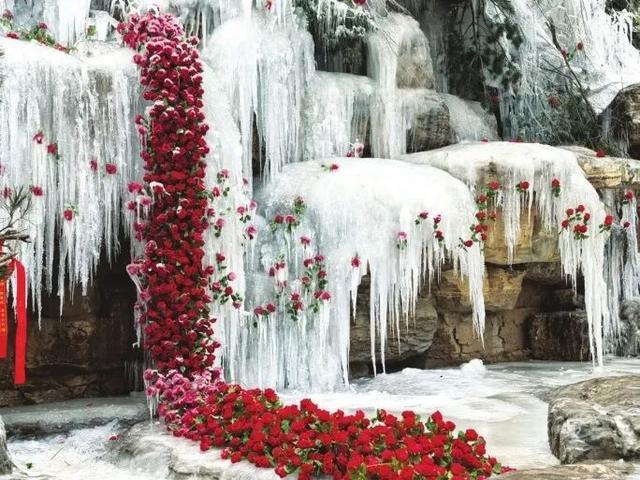 冰瀑玫瑰！冬日打卡新地标→