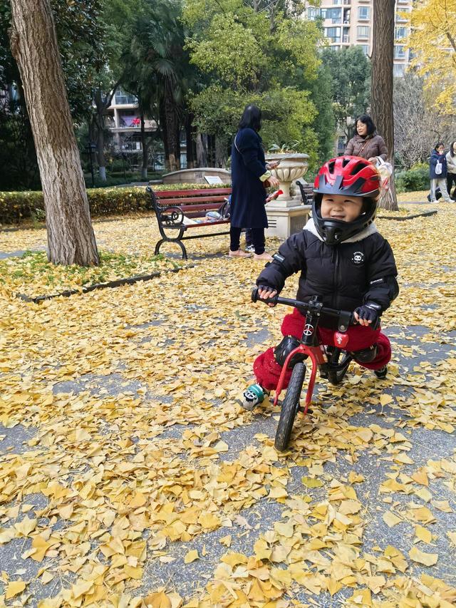 写点生活｜魔都小区，藏着晚秋初冬的金韵