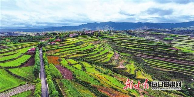 大美陇原