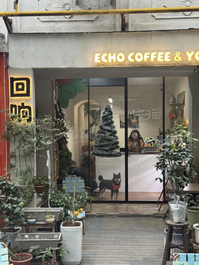 碑林citywalk宝藏地，藏着西安文艺又惬意的慢生活！