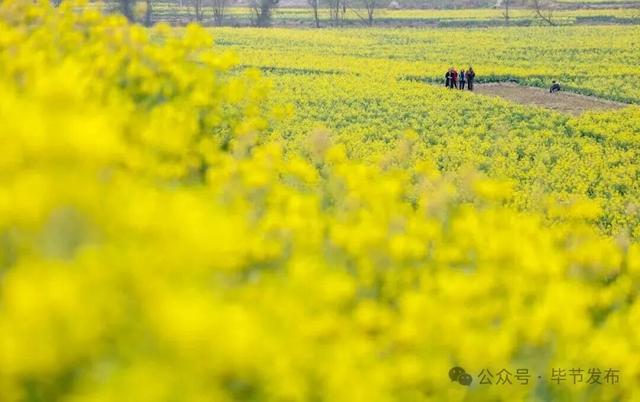 毕节不止有“悬崖村”,这些田园风光更美!