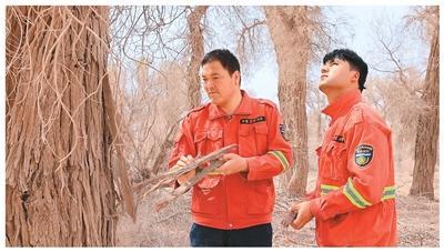 为金色胡杨撑起保护伞