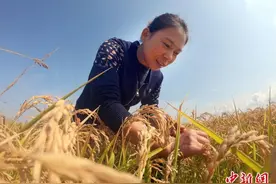 吉林巾帼“新农人”刘春艳：扎根乡土带领乡亲致富图片