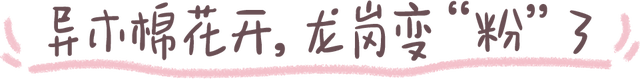 “接下来深圳这个地方，是粉色的”