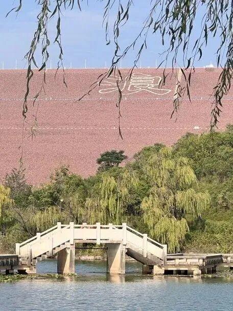 初冬高饱和度美景，还得看洛阳！