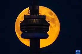 满月现身多伦多夜空图片