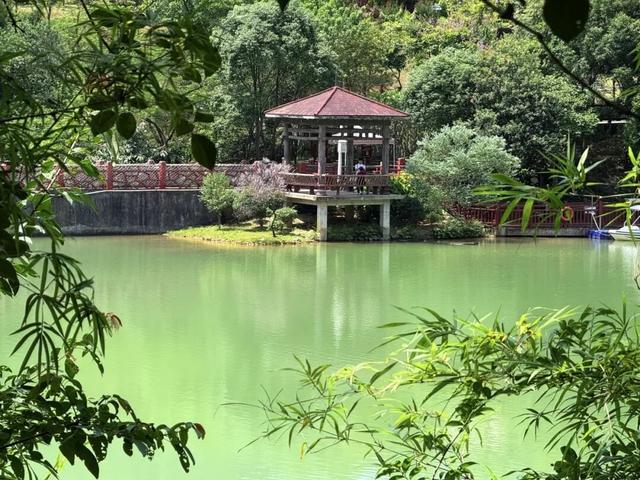 来啊，一起“躺坪”！增城「露营公园」指南→