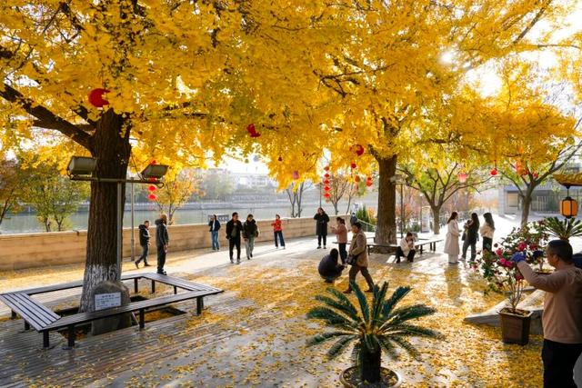 出片率100%！海陵“含金量”在上升！