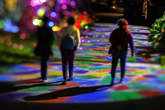 （外代二线）“夜间公园”灯光秀