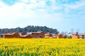 媒体聚焦呈贡滇池沿岸重点村改造提升图片