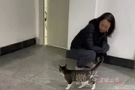 温暖山东丨流浪猫进屋避风，宿管阿姨搭了小窝收留图片