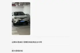 可怕！蛇钻进地库车里……事发广东一小区图片