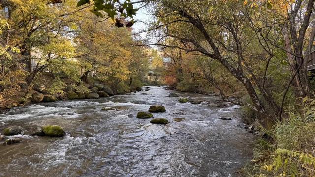 假期闲记（二）