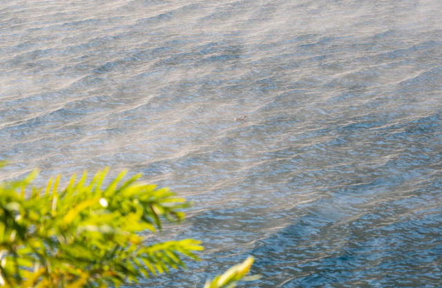 第一批回家过年的已就位！今年春节，我们建德见