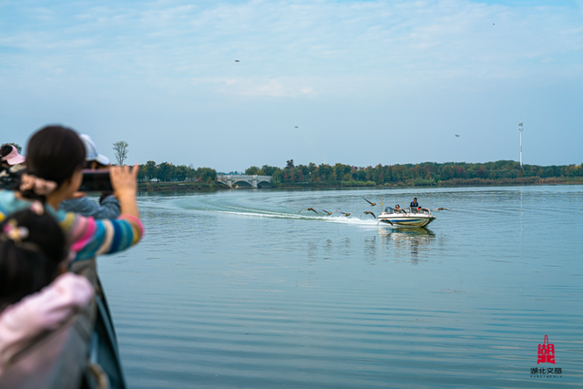 北北亲测！仙桃够味！福利加倍！