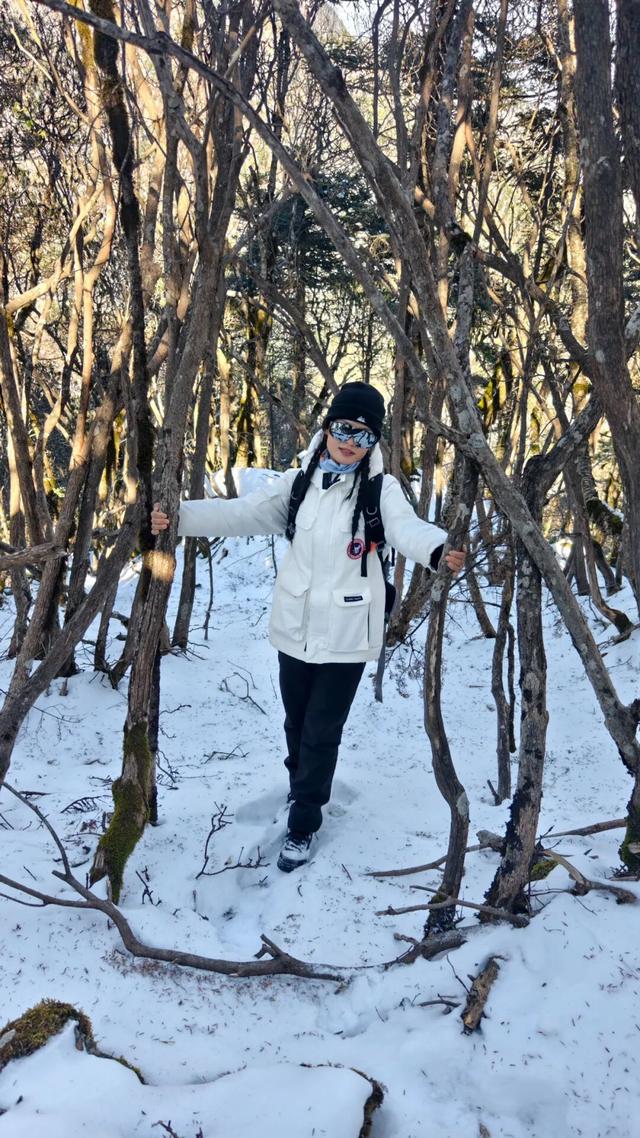 来太白山探寻丛林秘境，感受冰火两重天