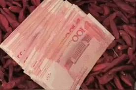 商丘老人将一万元遗落在辣椒收购店，店主：老人攒钱不易，正寻人图片