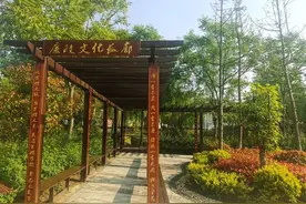 湖北老河口：文化铸魂 乡村和美图片