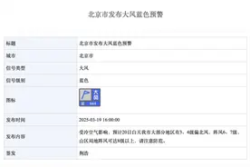 北京发布大风蓝色预警！明天北京花粉浓度，“高到很高”图片