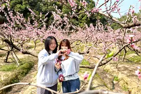 【组图】三明：百花争艳图片