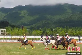 世界女子马球玫瑰杯比赛在重庆仙女山精彩上演图片