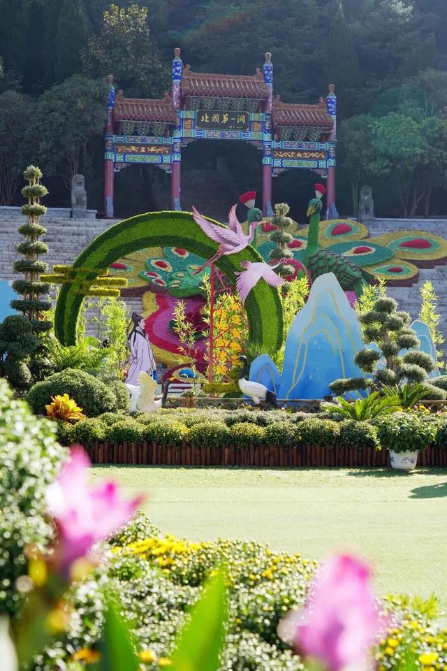 今秋，洛阳九大最美场景等你解锁