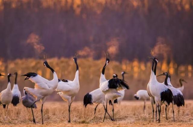 寻找镜头里的风景！盐城发布“电影+旅游”打卡路线