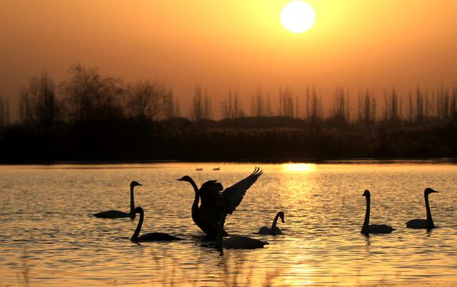 裁取冬色入画框#(2)