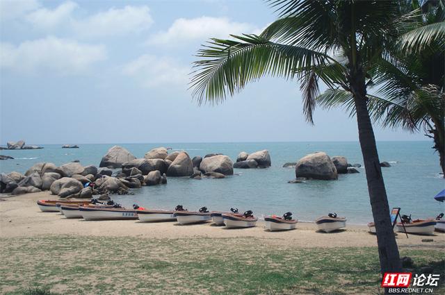 秋游时刻丨秋意正浓，海南正好