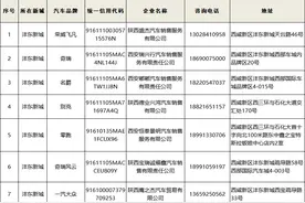 最高10000元！西咸新区新能源汽车消费补贴活动来了图片