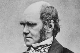 从达尔文的大胡子说起：胡子到底对谁有什么用？图片