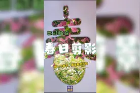 春日剪影：剪一个春字，捕捉春的气息。图片