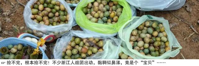 在全浙江超好吃的小县城逛吃，还能偶遇浙BA球员