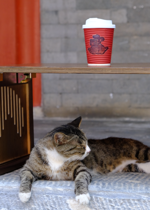 人少景美！北京这些古刹红叶正在最佳观赏期！