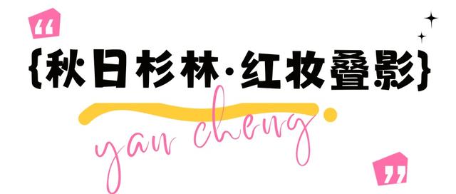 不来盐城，怎知秋色如许？