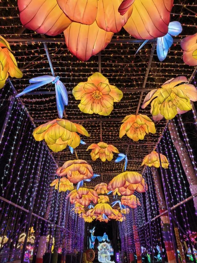 就在明晚！桃源里欢乐田园“桃醉平谷 桃源寻梦”乐游季正式启幕