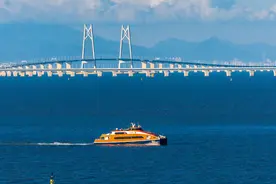 元旦假期深圳航运集团将加开深圳部分海上航班图片