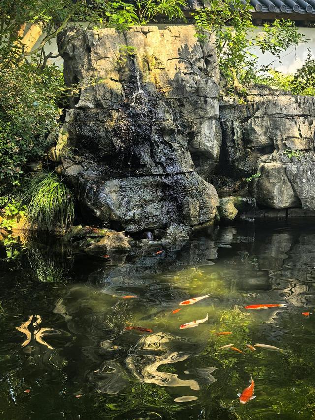 晚潮｜桂语幽境