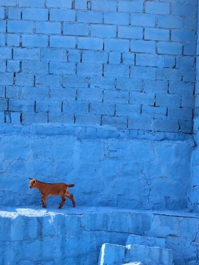 戒掉emo！来南日岛进行一次“精神离职”