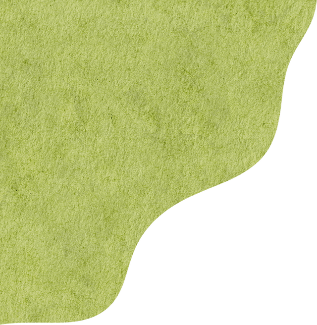 【遂川乡村游】“不去衙前看猛楠，游遍遂川也枉然”附新江古树秘境