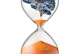 为什么“快乐的时光总是短暂的”图片