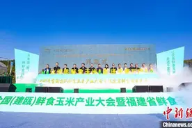 2023年全国（建瓯）鲜食玉米产业大会举行 玉米领“鲜”助推乡村振兴图片